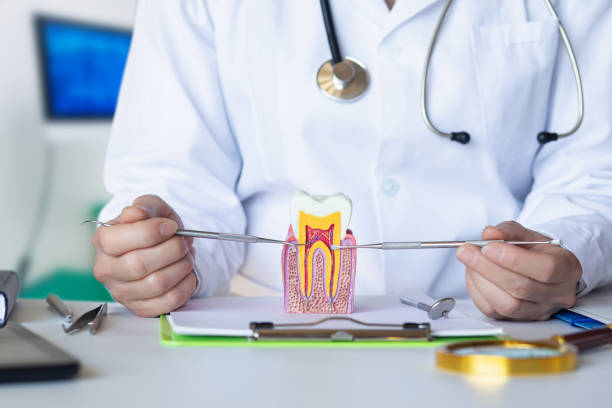 Best Emergency Tooth Extraction in Tn Lakes, WI
